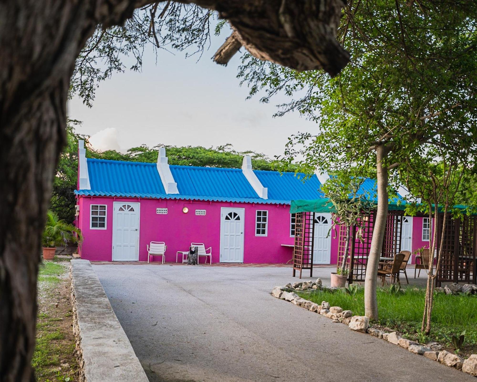 Landhuis Daniel - Plantation House Tera Kora Exterior photo