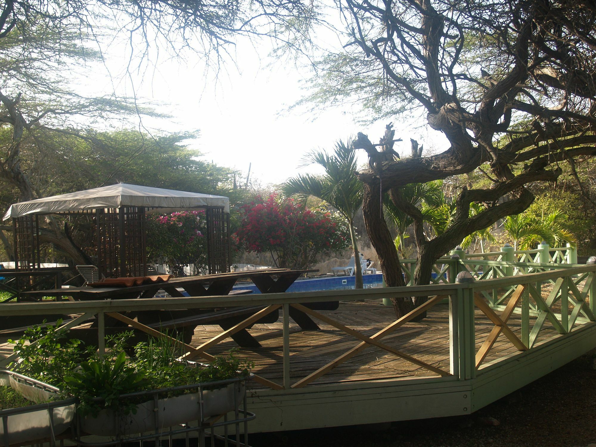 Landhuis Daniel - Plantation House Tera Kora Exterior photo